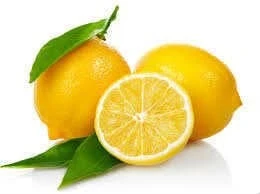 Limon Bonesi / 50 Adet / Bitki Çayı Bonesi - 2