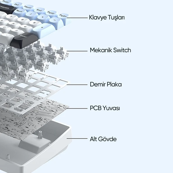 Aula S100 Pro Red Switch Hot Swap RGB Mekanik Klavye Bluetooth Kablolu Kablosuz Bağlantı Mavi - Resim 5