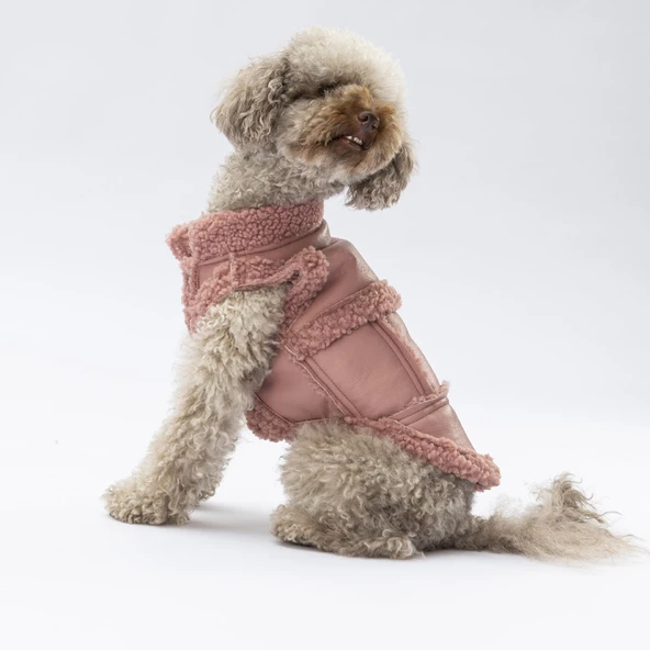 Pawstar Rose Churchill Su Geçirmez Küçük Irk Köpek Yeleği - Resim 3