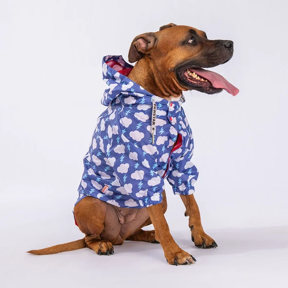 Pawstar Tonitruum Fileli Su Geçirmez Orta-Büyük Irk Köpek Yağmurluğu - 7