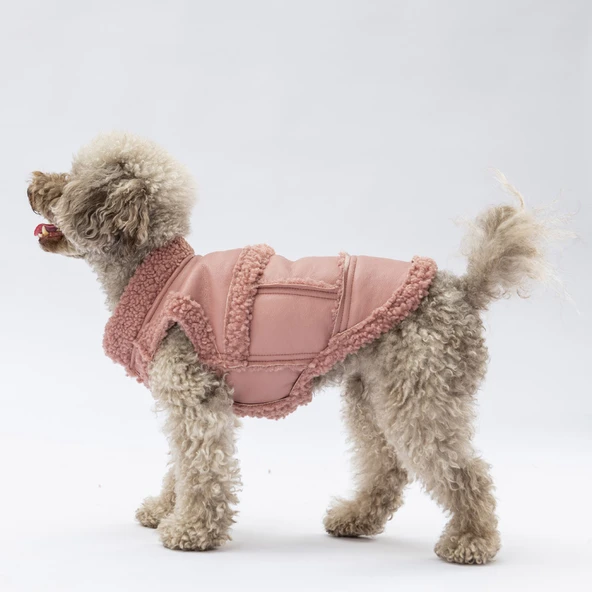 Pawstar Rose Churchill Su Geçirmez Küçük Irk Köpek Yeleği ürün görseli