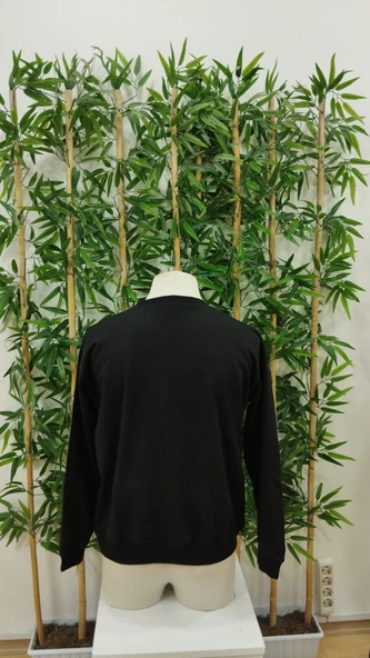 Erkek Uzun Kollu Bisiklet Yaka Boston Yazılı Iki Iplik Bluz - 5