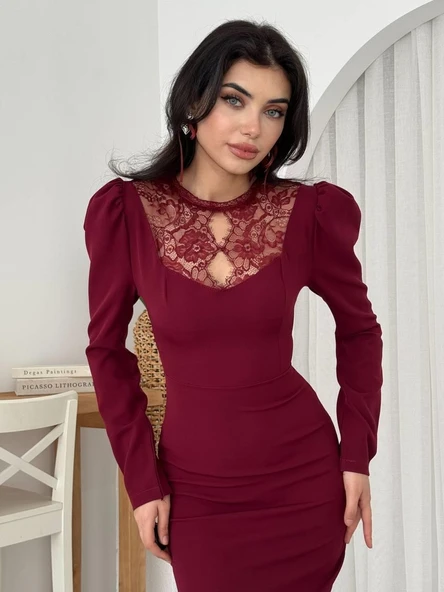 Port Dantel Detay Elbise - Resim 3