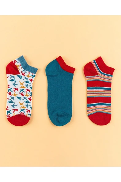 Bouquet Kadın 3-lü Patik Çorap ürün görseli