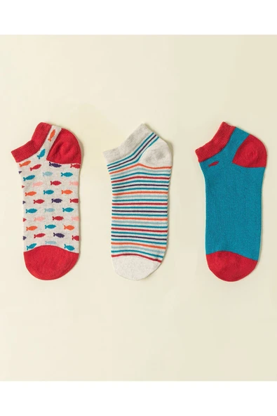 Marguerıte Kadın 3-lü Patik Çorap ürün görseli 1