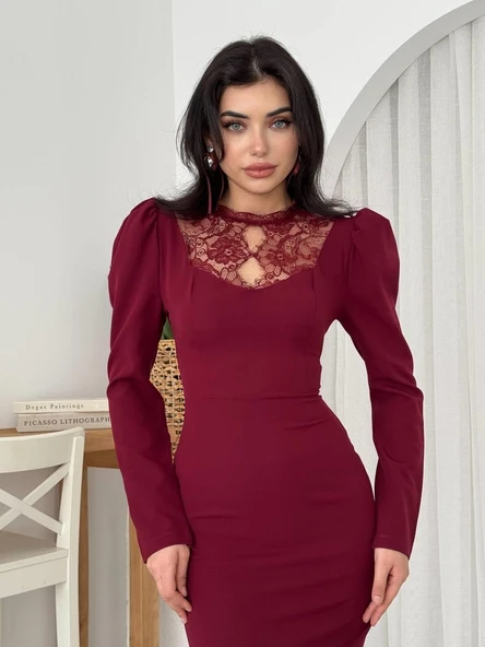 Port Dantel Detay Elbise - Resim 5