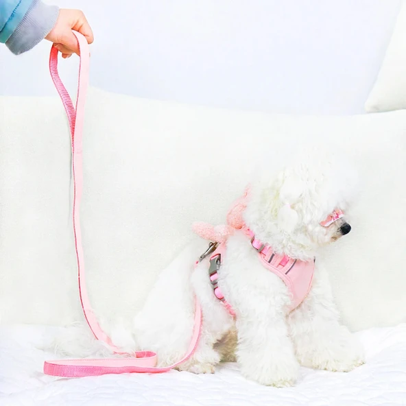 Evcil Hayvan Peluş Ayıcıklı Göğüs Gezdirme Tasması Set - Resim 4