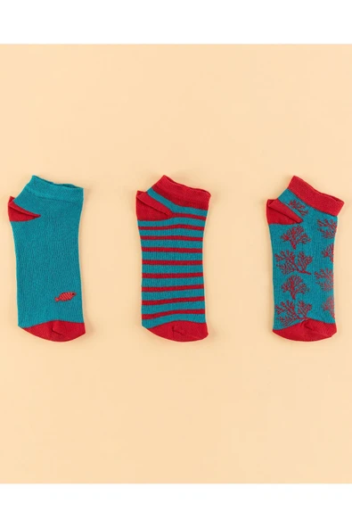 Le Lys Kadın 3-lü Patik Çorap ürün görseli