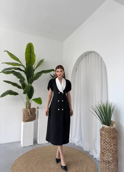 Reta Düğme Detaylı Elbise - Resim 4