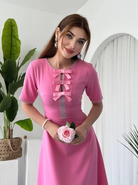 Wera Taşlı Fiyonk Detaylı Elbise - Resim 5