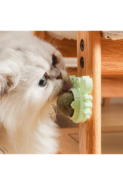 Yengeç Kedi Otu Oyun Topu - Resim 8