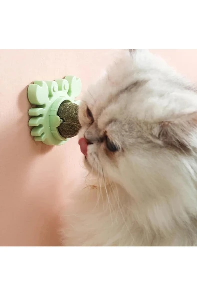 Yengeç Kedi Otu Oyun Topu - Resim 5