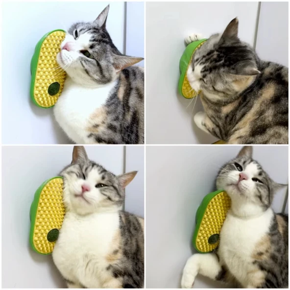 Silikon Kaşıyıcılı Kedi Otu - 8