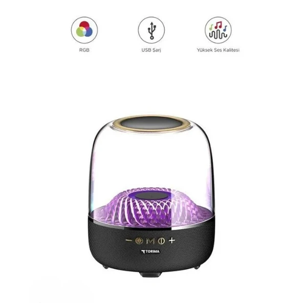 D33 Siyah Taşınabilir Kablosuz Bluetooth Hoparlör ürün görseli