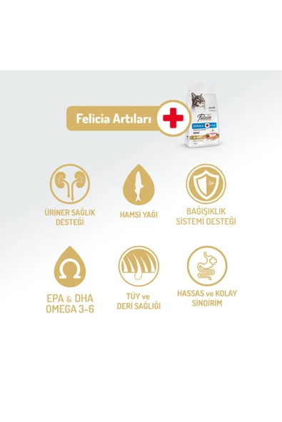 Felicia TOM&JERRYPETSHOP-2 Kg Kolajenli Somonlu Az Tahıllı HypoAllergenic Yetişkin Kedi Maması - 2