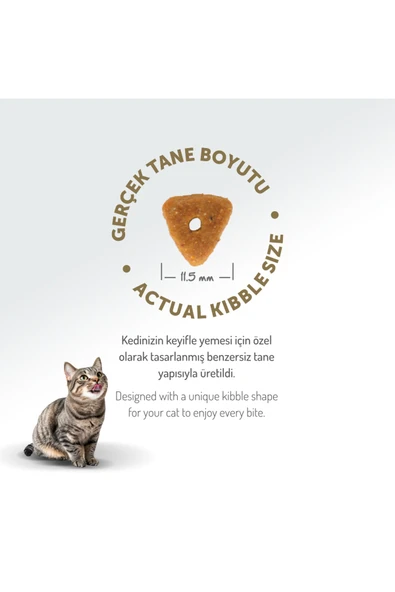 Felicia 2 Kg Kolajenli Somonlu Az Tahıllı Kısırlaştırılmış Kedi Maması - 3