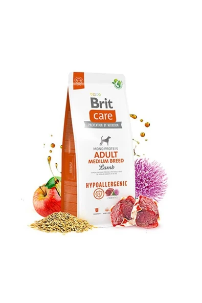 Brit Care Hypo-Allergenic Kuzu Etli Orta Irk Yetişkin Köpek Mamasi 3 Kg - 2