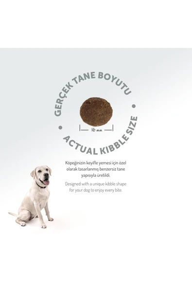 Felicia 3 Kg Kolajenli Somonlu Az Tahıllı M/Large Yetişkin Köpek Maması - 3