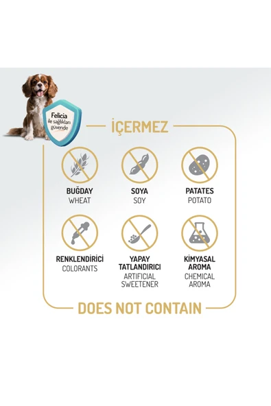 Felicia 3 Kg Kolajenli Somonlu Az Tahıllı M/Large Yetişkin Köpek Maması - 2