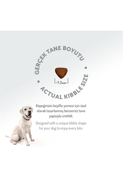 Felicia 3 Kg Kolajenli Kuzulu Az Tahıllı Flexi Size Yavru Köpek Maması - 3