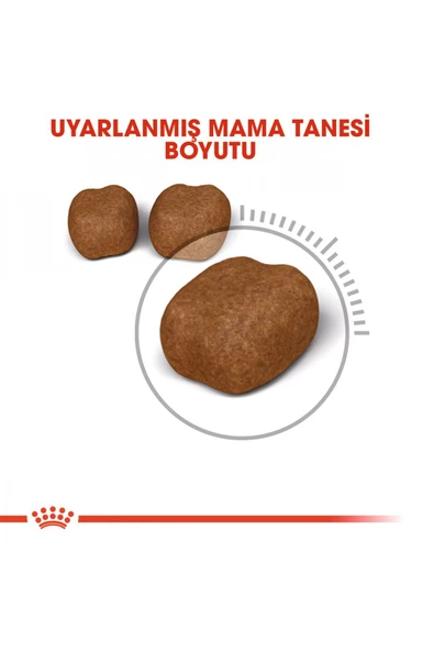 Dental Care Diş Sağlığı Için Kuru Kedi Maması 1.5kg - 4