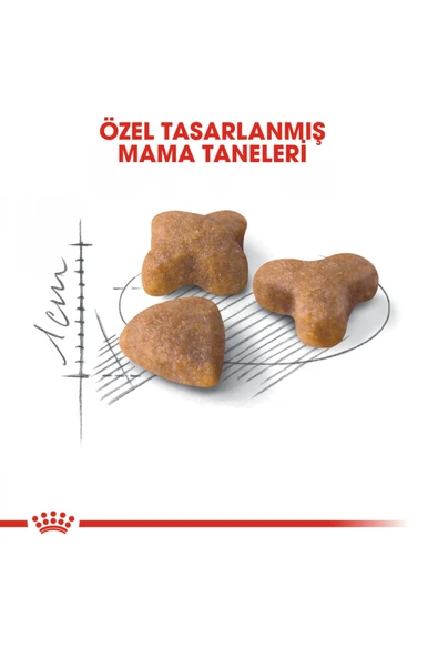 Sensible33 Sindirim Hassasiyeti Olan Kediler Için Yetişkin Kuru Kedi Maması 2kg - Resim 4