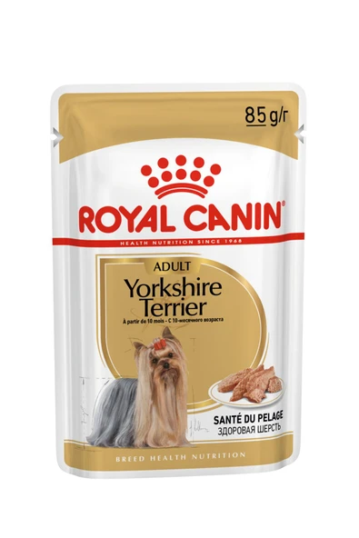Yorkshire Terrier Yaş Köpek Maması 12 X 85g