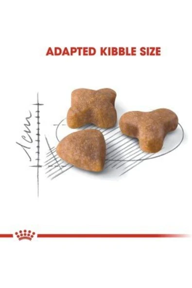 Royal Canin Sensible 33 Kedi Maması 2 Kg - Resim 4