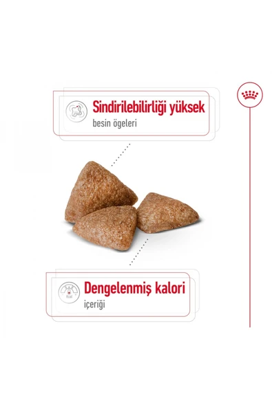 Mını Indoor Adult Küçük Irklar Için Indoor Yetişkin Kuru Köpek Maması 1.5kg - 4