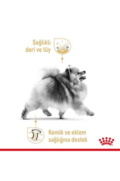 Pomeranian Kuru Köpek Maması 1.5kg - 5