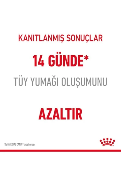 Hairball Care Yetişkin Kedi Maması 2 Kg - 4