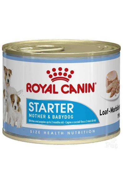 Starter Mousse Anne ve Yavruları İçin Köpek Konservesi 195 Gr