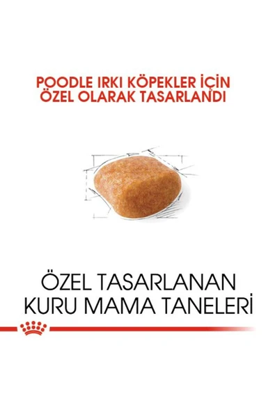 Poodle Yetişkin Kuru Köpek Maması 3kg - 5