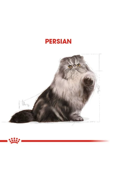 Persian Iran Kedisi Için Kuru Kedi Maması 4kg - Resim 8