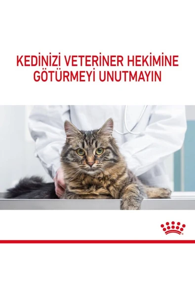 Hairball Care Yetişkin Kedi Maması 2 Kg - 5
