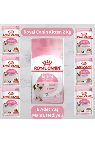 Kitten Yavru Kuru Kedi Maması 2 Kg + 6 adet yaş mama