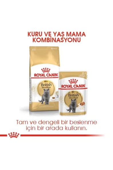 British Shorthair Yetişkin Kedi Maması 2 Kg - 5