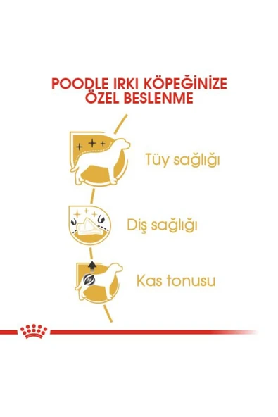 Poodle Yetişkin Kuru Köpek Maması 3kg - 4