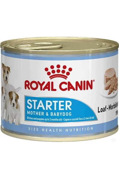 Starter Mousse Mother Babydog 195 Gr 12 Adet