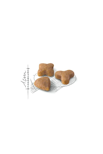 Sensible33 Sindirim Hassasiyeti Olan Kediler Için Yetişkin Kuru Kedi Maması 400g - 2