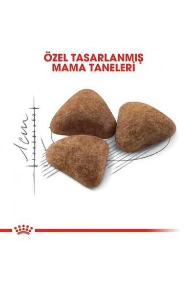 Indoor Ev Kedileri İçin Kedi Maması 400 gr - Resim 5