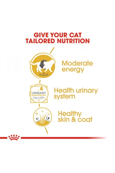 British Shorthair için Yaş Kedi Maması 12 x 85g - Resim 6