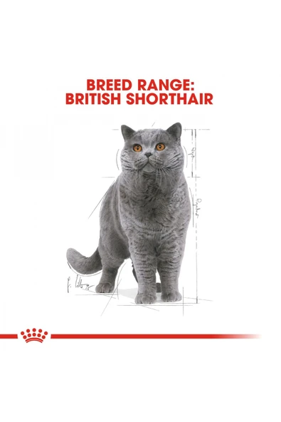 British Shorthair için Yaş Kedi Maması 12 x 85g - Resim 4