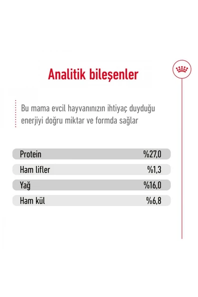 Küçük Irklar Için Yetişkin Kuru Köpek Maması 2kg - 6