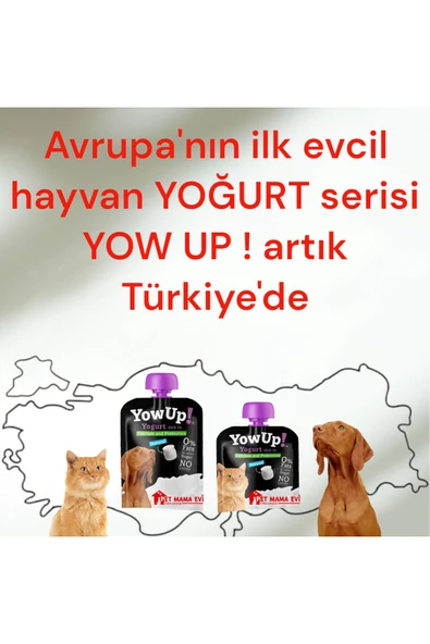 Yow Up! Prebiyotik Köpek Yoğurt - 3