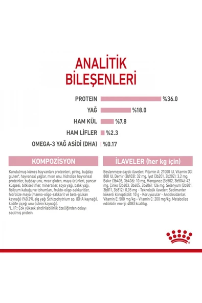 Kitten Yavru Kediler Için Kuru Kedi Maması 2kg - Resim 6