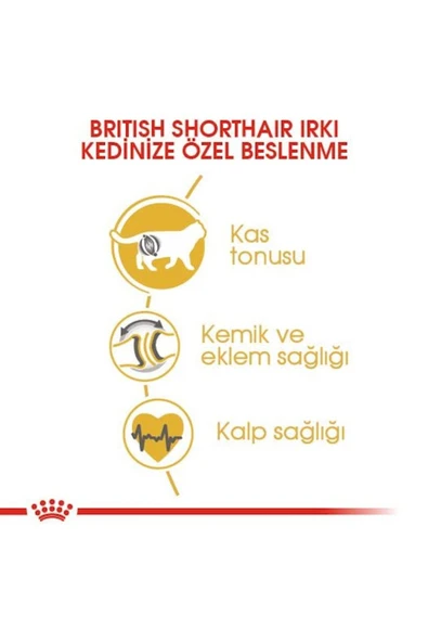British Shorthair Adult Kedi Kuru Maması 2 Kg - Resim 4