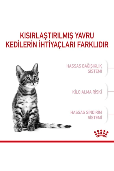 Kitten Sterilised Kısırlaştırılmış Yavru Kedi Maması 2kg - Resim 5