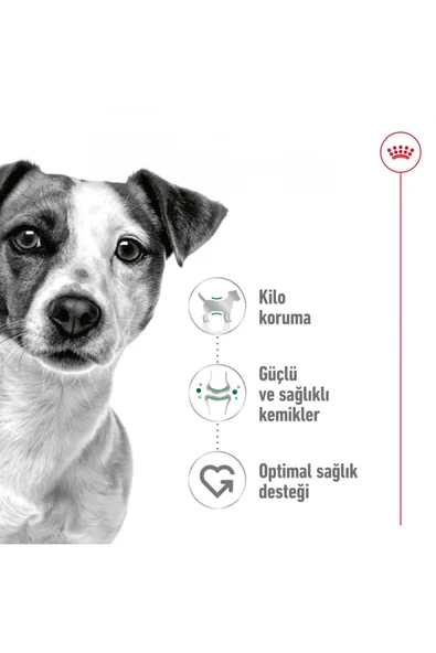 Küçük Irklar Için Yetişkin Kuru Köpek Maması 2kg - 4