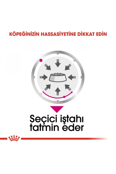 Exigent Seçici Köpekler Için Yaş Köpek Maması 12 X 85g - 5